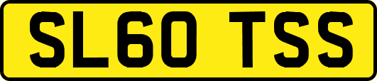SL60TSS
