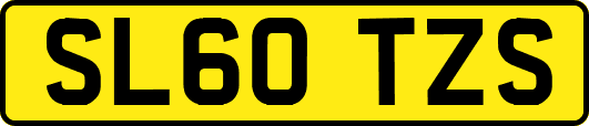 SL60TZS