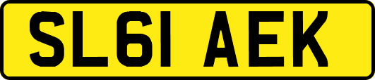 SL61AEK