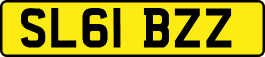 SL61BZZ