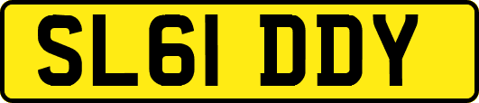 SL61DDY