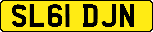 SL61DJN
