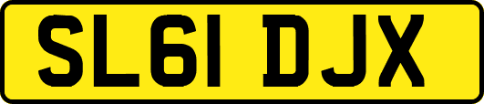 SL61DJX