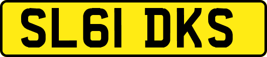 SL61DKS