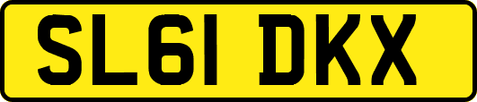 SL61DKX