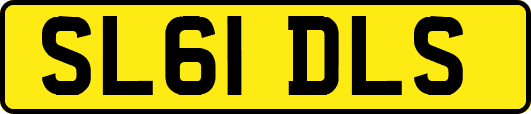 SL61DLS