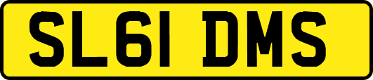 SL61DMS