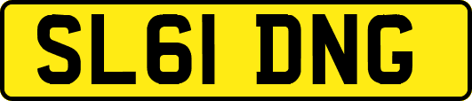 SL61DNG