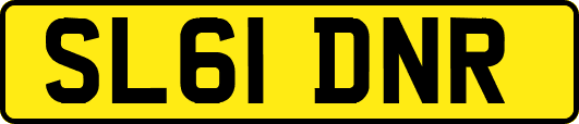 SL61DNR