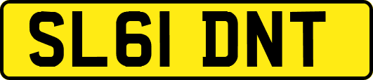 SL61DNT