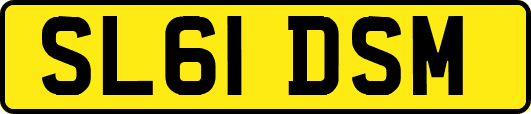 SL61DSM