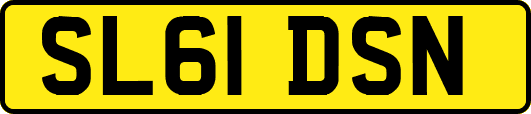 SL61DSN