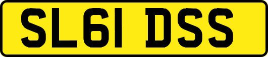SL61DSS