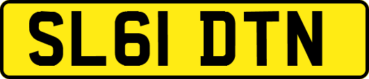 SL61DTN
