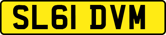 SL61DVM