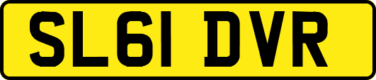 SL61DVR