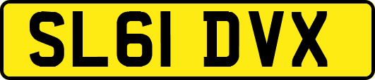 SL61DVX