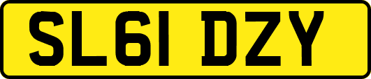 SL61DZY