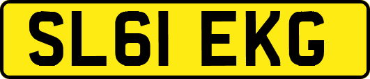 SL61EKG
