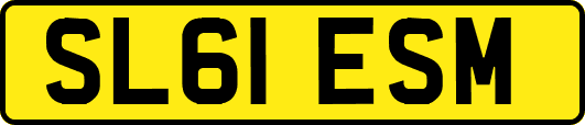 SL61ESM
