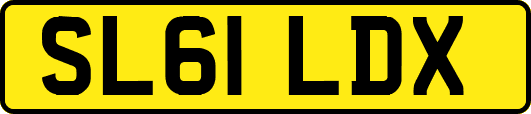 SL61LDX