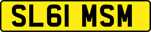 SL61MSM