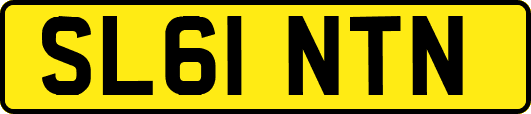 SL61NTN