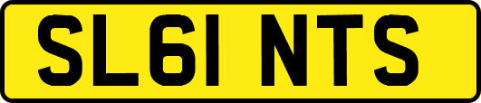 SL61NTS