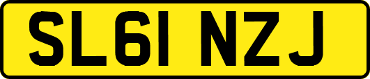 SL61NZJ