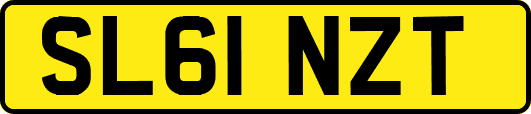 SL61NZT