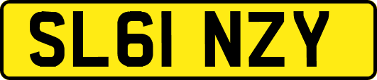 SL61NZY
