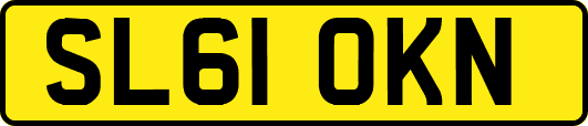 SL61OKN