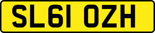 SL61OZH