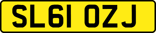 SL61OZJ