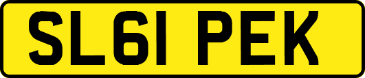 SL61PEK
