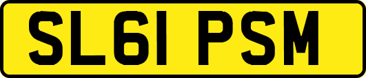 SL61PSM