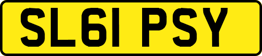 SL61PSY