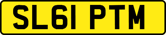 SL61PTM