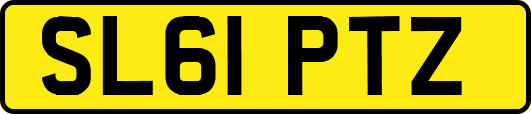 SL61PTZ