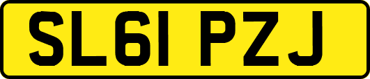 SL61PZJ
