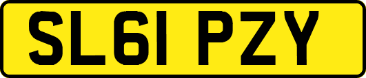 SL61PZY