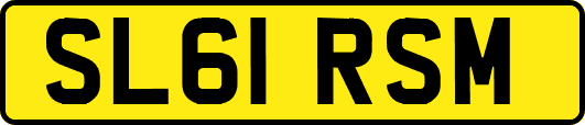 SL61RSM