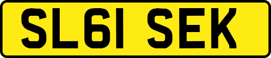 SL61SEK
