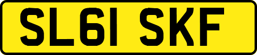 SL61SKF