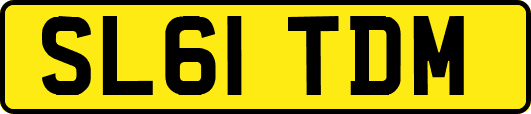SL61TDM