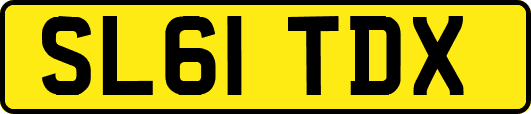 SL61TDX