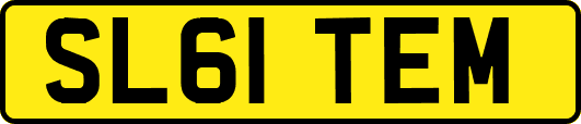 SL61TEM