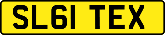 SL61TEX