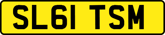 SL61TSM