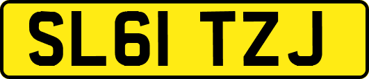 SL61TZJ